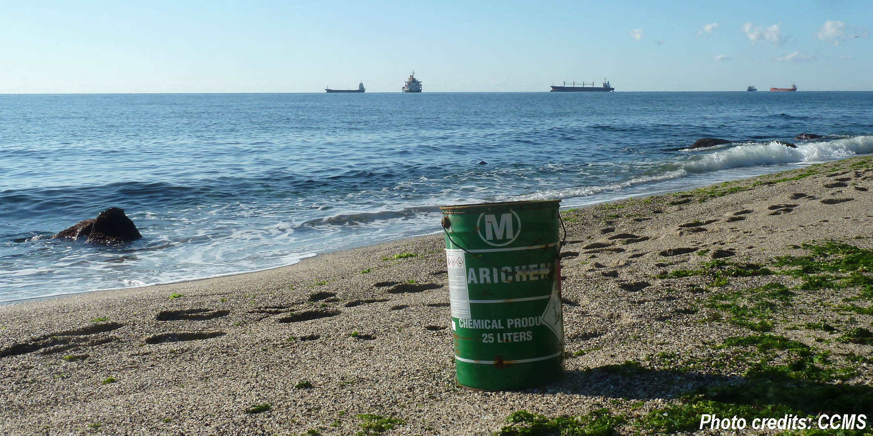 BG beach litter 