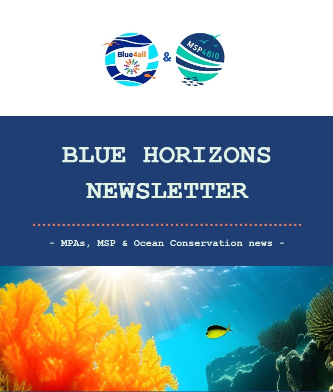 Blue Horizons Newsletter 01