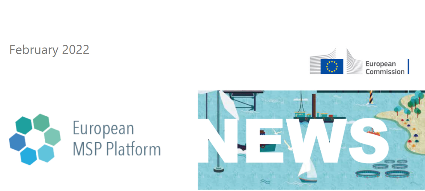 EU MSP Platform February 2022 Newsletter