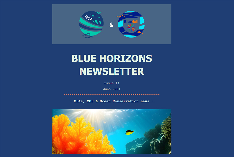 FOURTH ISSUE OF THE BLUE HORIZONS NEWSLETTER