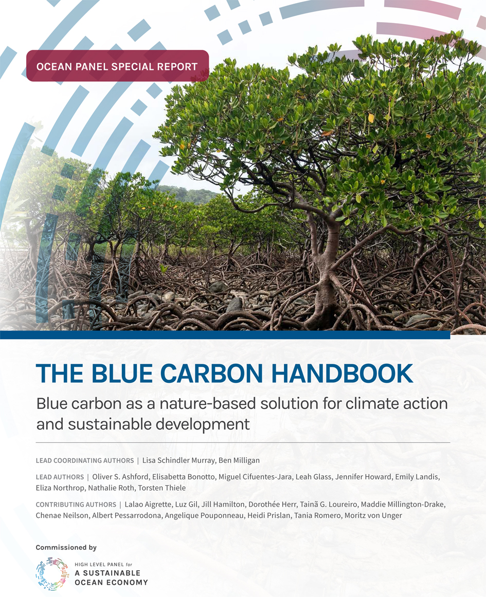 Ocean Panel Blue Carbon Handbook